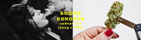 2c-b Козловка