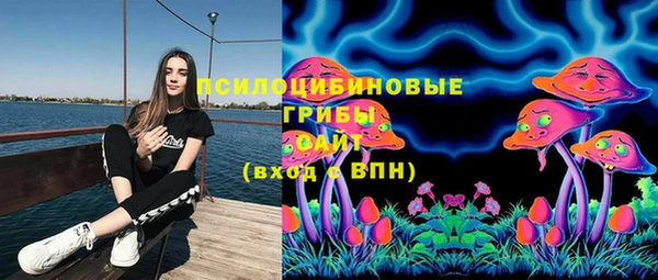 2c-b Козловка