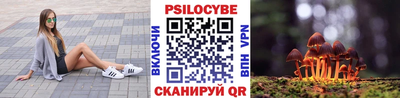 Псилоцибиновые грибы GOLDEN TEACHER  Котовск 