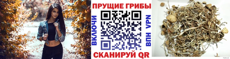 Галлюциногенные грибы ЛСД Котовск