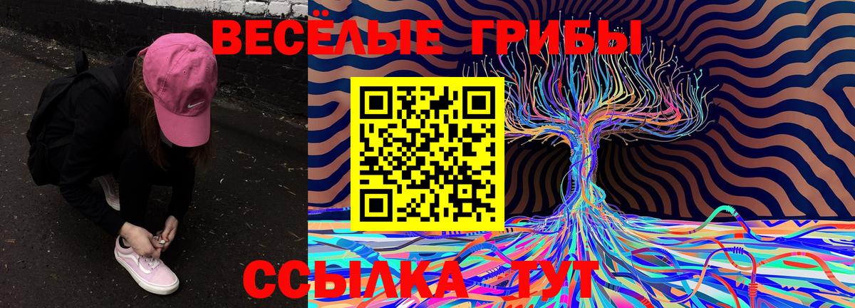 Псилоцибиновые грибы Magic Shrooms Котовск