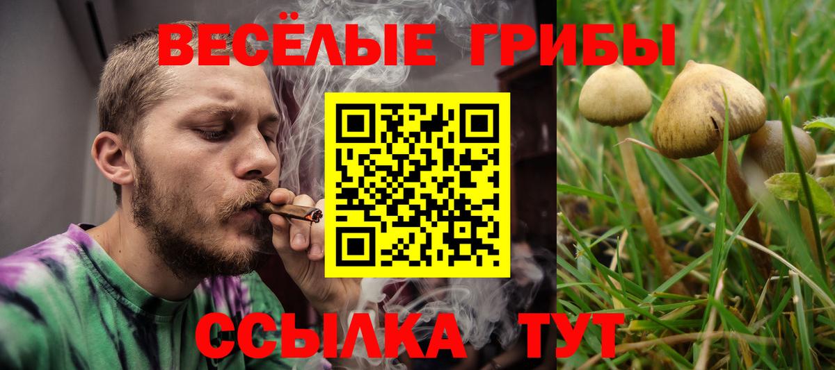 купить  сайты  Галлюциногенные грибы мицелий  Вход с VPN  Псилоцибиновые грибы ЛСД  Котовск 